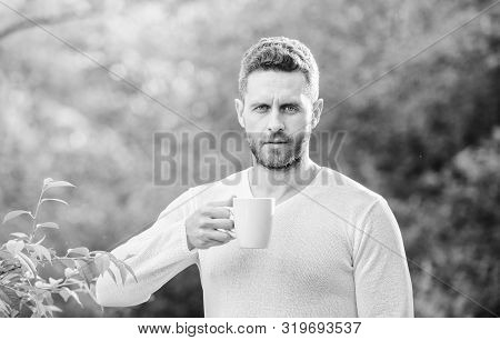 Man Bearded Tea Farmer Hold Mug Nature Background. Green Tea Contains Bioactive Compounds That Impro