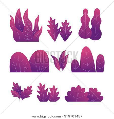 Set Of Purple Plants. Different Trees, Bushes And Leaves. Vector Flat Illustration.