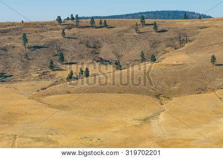 Cle Elum, Washington, Usa - October 20, 2018: Yellow Hillside And Some Trees Of The Hidden Valley In