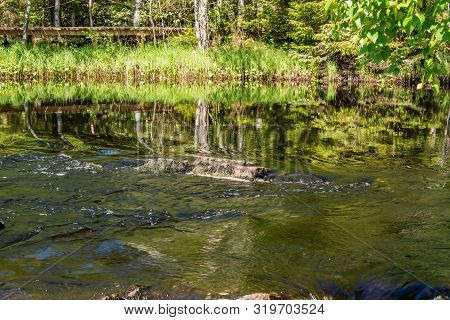 The Tahmajoki River Flows From Lake Ruokoyarvi To Lake Ladoga. The River Has Many Rapids And Small W