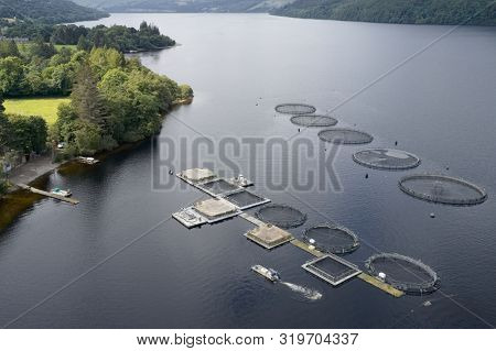 Fish Farm Salmon Sea Nets Farming At Sea Loch Tay Scotland Uk
