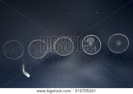 Fish Farm Salmon Sea Nets Farming At Sea Loch Tay Scotland Uk