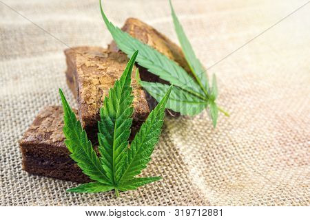 Cannabis Hash Brownies With Cannabis Leaf On Hemp Cloth Burlap