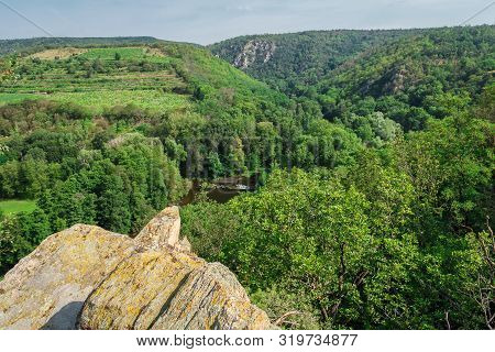 Nice View To Valley With River Dyje And Rock, National Park Podyji, Czech Republic