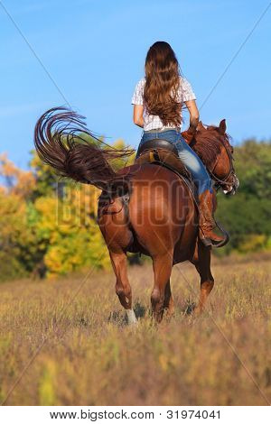 Vista traseira do jovem em jeans azul, montando um cavalo