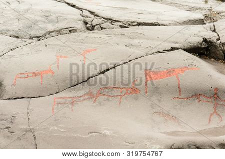 Rock Art In Alta Fjord, Norway. Ancient Symbols, Real Drawing,  Texture In Stone. Red Ocher Paint. H