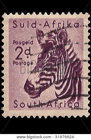 SÃ¼dafrika Briefmarke Bergzebra 1954