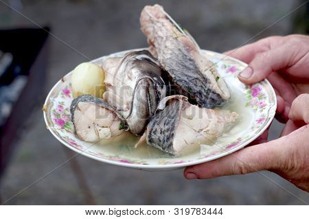A Few Pieces Of Boiled Fish On A Plate. Cooking Fish.
