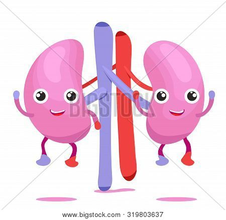 Human Internal Organ Character Smile Funny Cute Twins Bladder With Eyes, Legs And Hands. Anatomy.pin