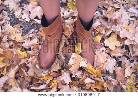 Female Legs In Brown Boots. Yellow Foliage Underfoot. Autumn Concept