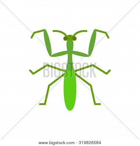 Mantis Single Flat Icon. Insect Simple Sign In Cartoon Style. Bug Pictogram Wildlife Symbol. Entomol