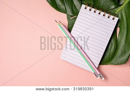 Top View Of Blank Notebook With Pen And Monstera Lief On Pink Pastel Background With Copy Space