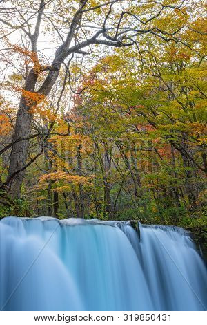 Choshi Otaki Falls ( Oirase Stream ) In Sunny Day, Beautiful Fall Foliage Scene Autumn Colors. Fores