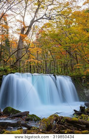Choshi Otaki Falls ( Oirase Stream ) In Sunny Day, Beautiful Fall Foliage Scene Autumn Colors. Fores