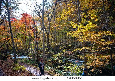 Oirase Stream, Beautiful Fall Foliage Scene Autumn Colors. Famous And Popular Destinations. Flowing 