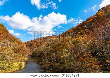 Oirase Stream In Sunny Day, Beautiful Fall Foliage Scene In Autumn Colors. Flowing River, Fallen Lea