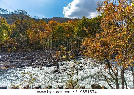 Oirase Stream In Sunny Day, Beautiful Fall Foliage Scene In Autumn Colors. Flowing River, Fallen Lea