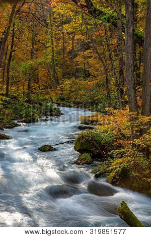 Oirase Stream In Sunny Day, Beautiful Fall Foliage Scene In Autumn Colors. Flowing River, Fallen Lea