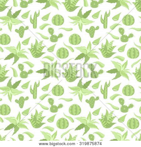 Seamless Pattern With Succulents And Aloe Vers Leaves Isolated On White Background. Flat Vector Illu
