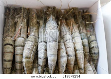 Black Tiger Prawns In White Box , Frozen Fresh Food