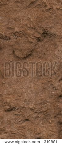 Wood Texture 4