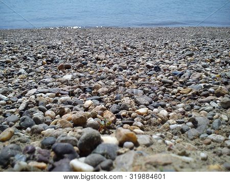 Rocky Beach In Summer. In The Background Is Blue Water
