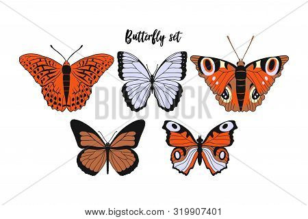 Set Of Realistic Flat Cartoon Vector Different Butterflies On White Background: Monarch Butterfly, A