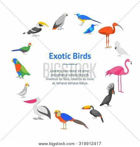 Cartoon Color Exotic Vector Photo Free Trial Bigstock
