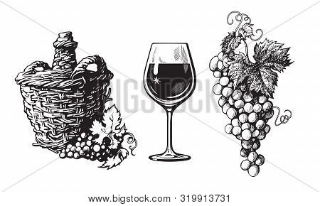 Old Demijohn, Glass Of Wine, Bunch Of Grapes In Vintage Engraving Style. Set Of Wine Related Hand Dr