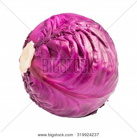 Cabbagehead Of Ripe Red Cabbage Isolated On White Background