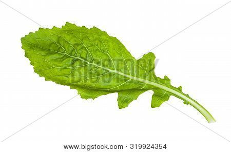 Green Leaf Of Kokabu Japanese White Salad Turnip Isolated On White Background