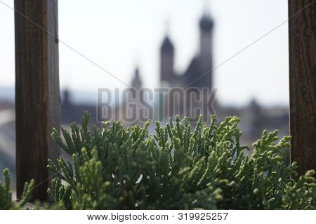 Blurred View Of The Old Town Through Tuya. The Green Branch Of The Plant In The Foreground.
