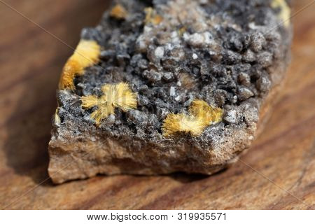 Crystal Needles Of Uranophane, A Uranium Bearing Mineral And Ore
