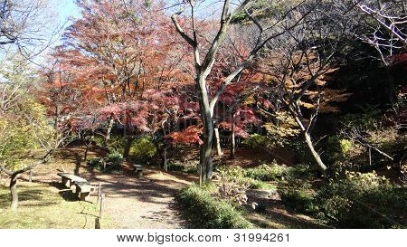 Ueno Park