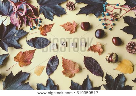 Fall Word And Composition Of Autumn Leaves And Horse Chestnuts On A Yellow Background. Fall Season C