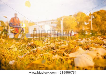 Leaf Blower Male Worker Removes Leaves Lawn Of Garden Autumn