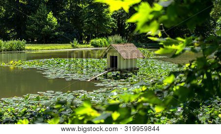 A View On The Duck House At The Friedrichsgrundbach, Pillnitz, Germany Close To Dresden During Sprin