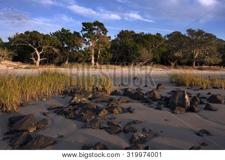 Rocks And Sea Oats On A Beach On Jekyll Island, Georgia