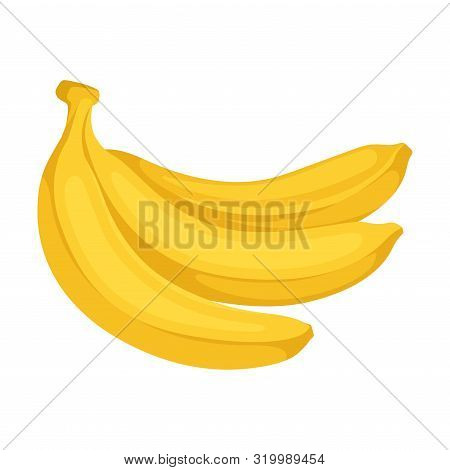 Three Bananas In A Peel. Vector Illustration On A White Background.