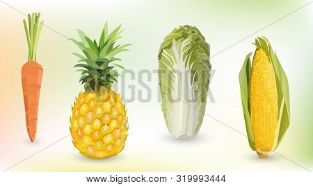 Realistic Set Of Fruits And Vegatebles. Carrot, Pineapple, Chinese Cabbage, Corn. Vector Objects.