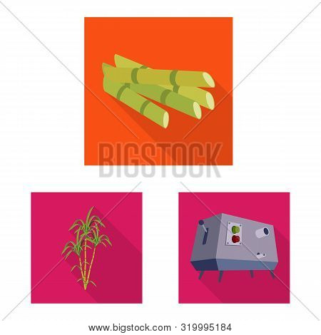 Vector Illustration Of Plant And Plantation Logo. Collection Of Plant And Agriculture Vector Icon Fo