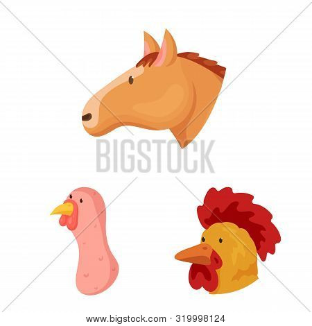 Vector Design Of Farm And Head Icon. Collection Of Farm And Homemade Vector Icon For Stock.