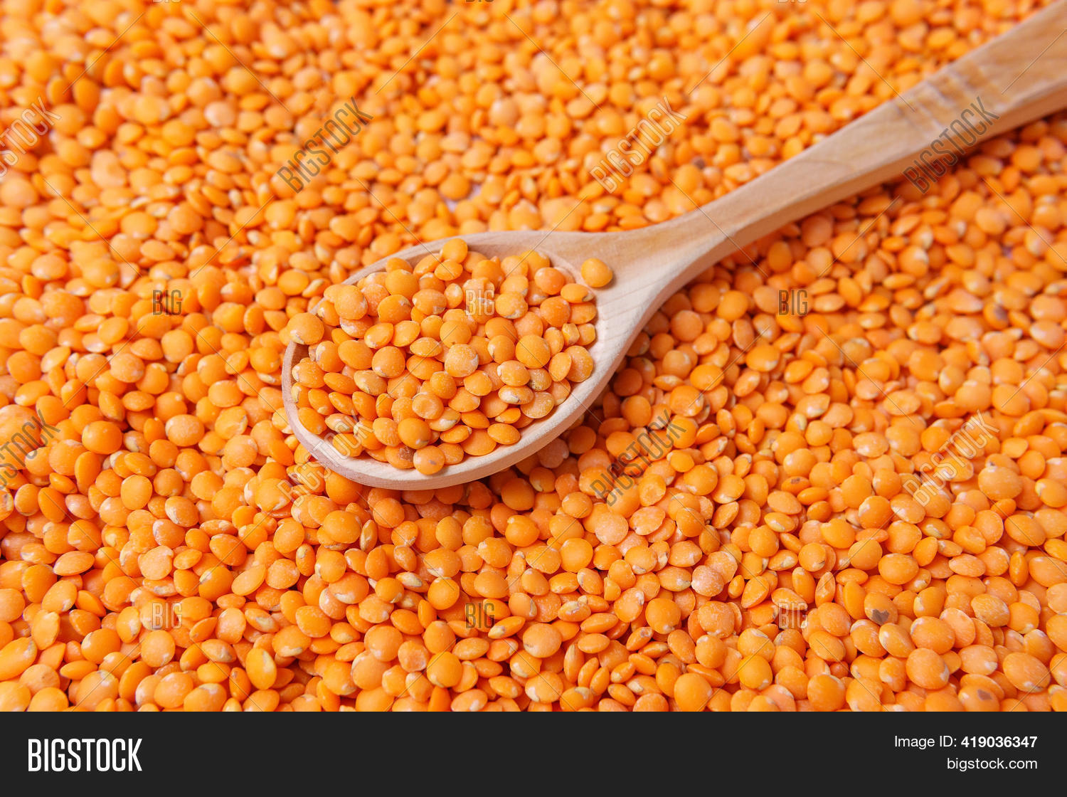 Organic Red Lentils Image & Photo (Free Trial) | Bigstock