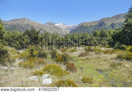 Scenery Around The Mount Crichton Loop Track In Otago In New Zealand