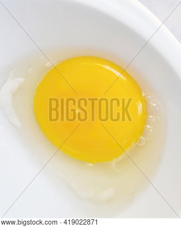 Embryo In The Egg Albumen And Yolk, Organic Eggs,