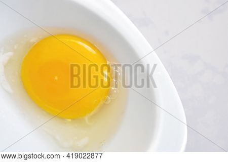 Embryo In The Egg Albumen And Yolk, Organic Eggs,