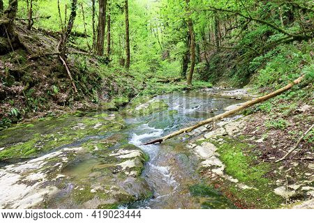 The Bezumenka River, A Tributary Of The Sochi River. Very Picturesque Place. Ends With Orekhovsky Wa