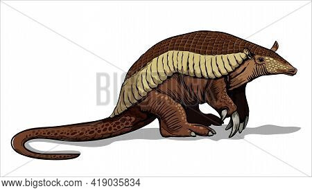A Giant Armadillo With Thick Legs Stands On The Ground. Big Fat Animal. Mouse, A Rodent With A Long 