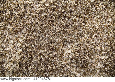 The Background Is Made Of Brown And White Carpet With Beautiful Large Thread Loops And A Pattern Of 