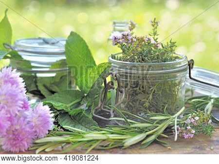 Fresh  Aromatic Plant In Glass Jar On A Table In A Garden